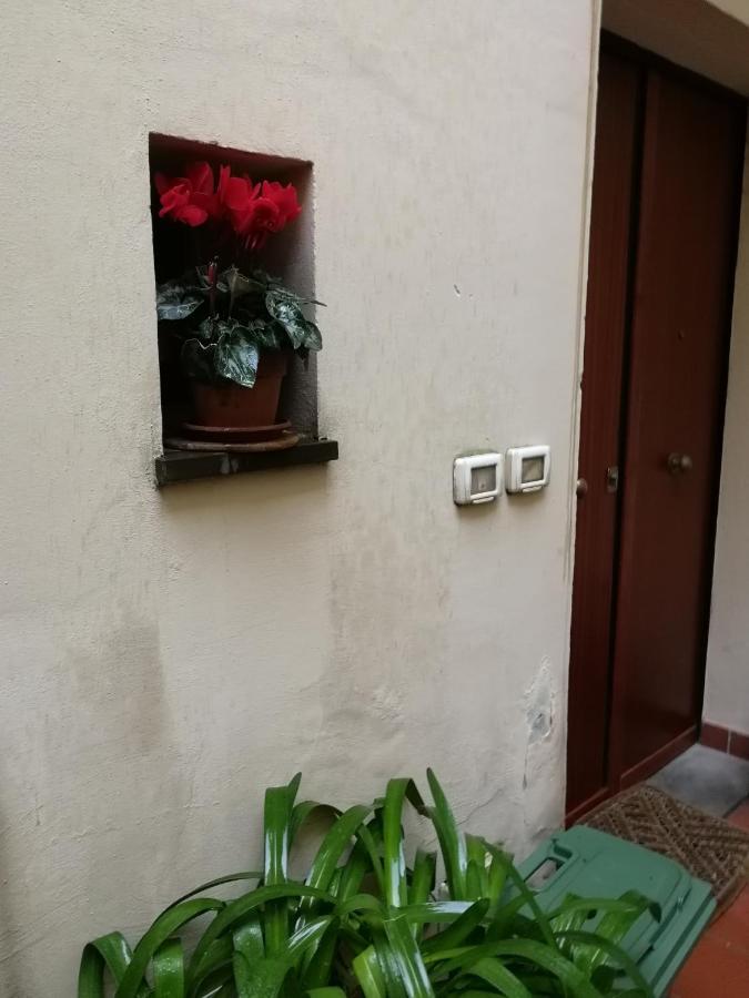 Saragone *
